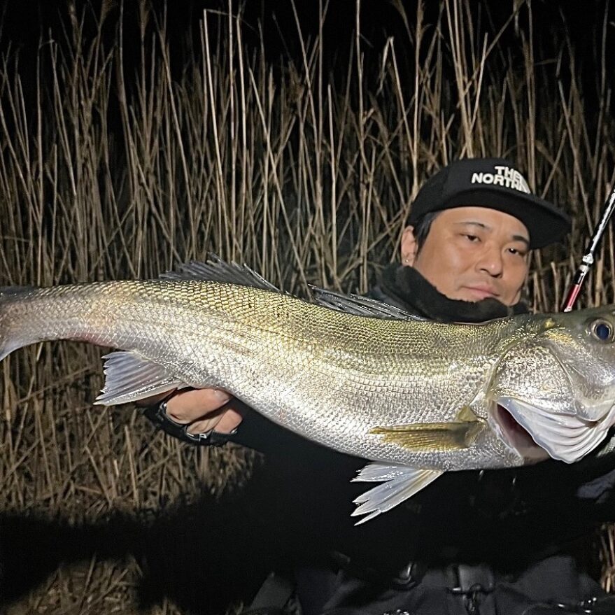 想定外の悪夢からの脱出！ - Fishman（フィッシュマン）