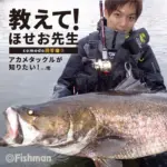 フィッシュマン ブリストコモド　BRIST comodo8.3xxxxh Amazon.co.jp: フィッシュマン BRIST comodo8.3XXXXH : スポーツ