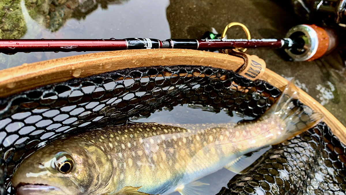 Campanella トラウト　ベイトロッド　渓流 Campanella トラウト ベイトロッド 渓流 Campanella トラウト ベイト