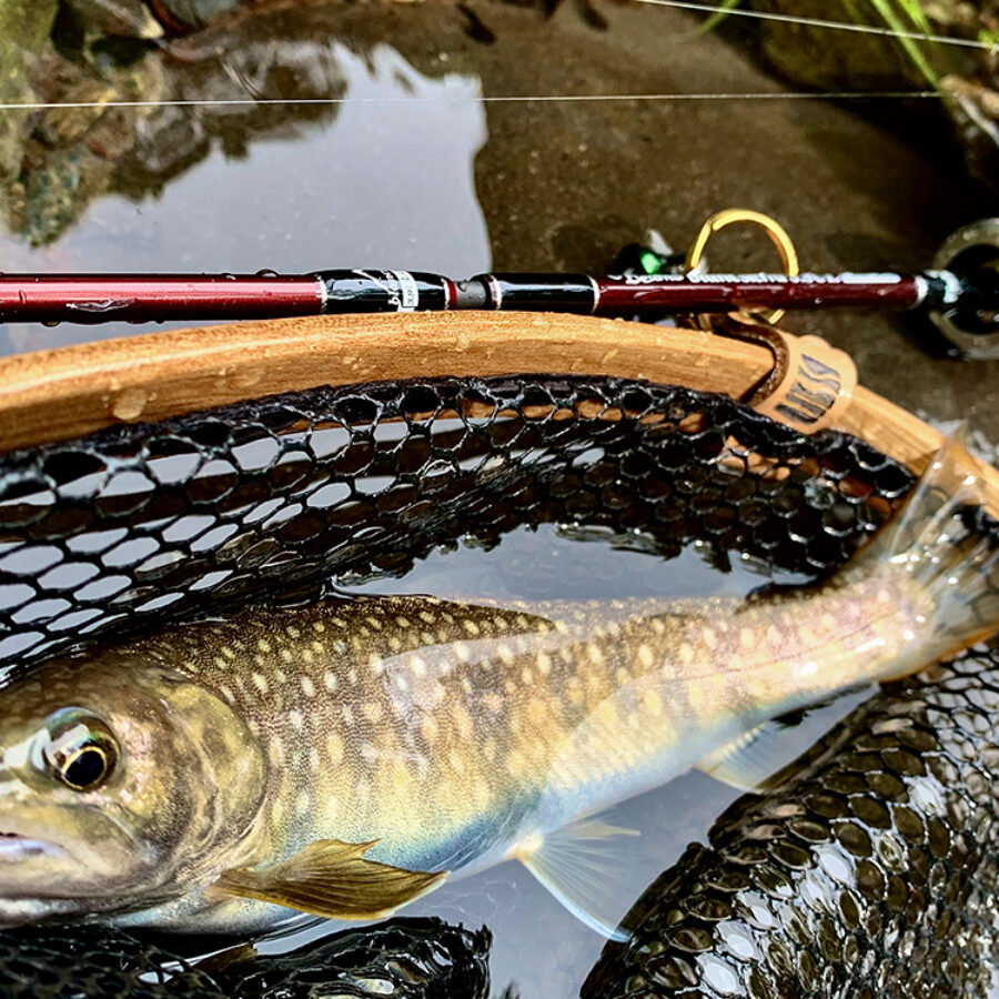 Fishman ロッドで渓流釣りを一緒に楽しみましょう！ - Fishman