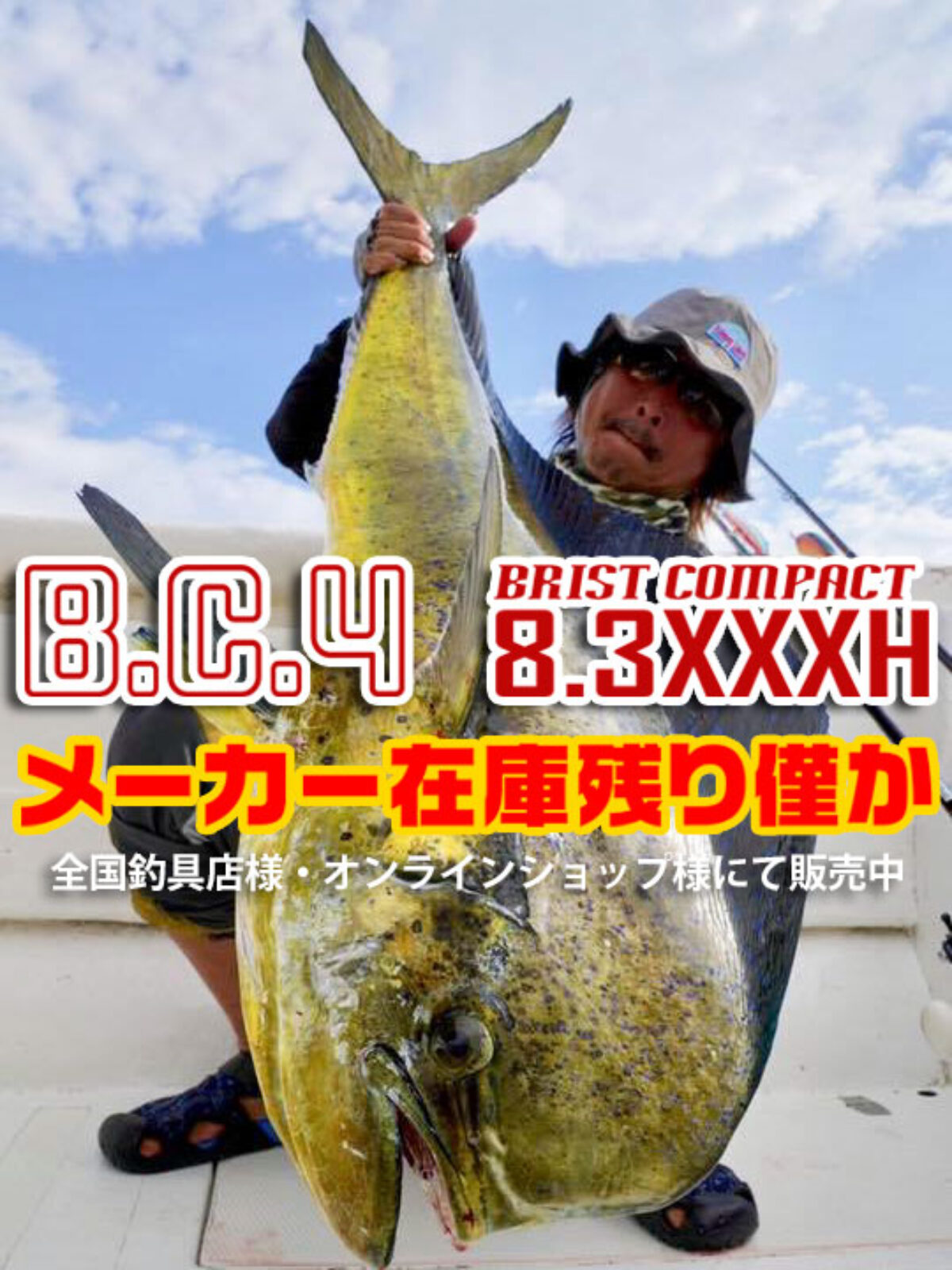 BC4 8.3XXXH メーカー在庫残りわずか - Fishman（フィッシュマン）