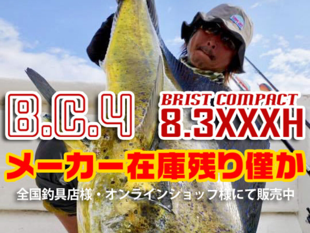 BC4 8.3XXXH メーカー在庫残りわずか - Fishman（フィッシュマン）