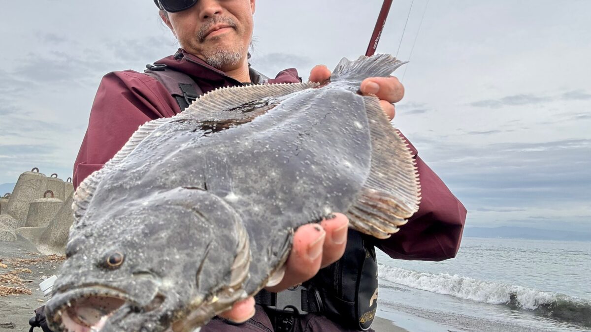 ひらめページ 静岡ヒラメシーズン開幕！ - Fishman（フィッシュマン）