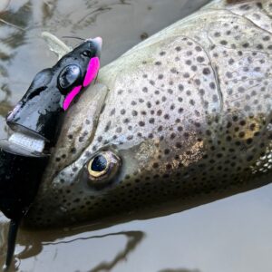 湖や本流トラウト/イトウ/シーバスに 未使用ABU Cardinal 155 湖や本流トラウト/イトウ/シーバスに 未使用ABU Cardinal 155