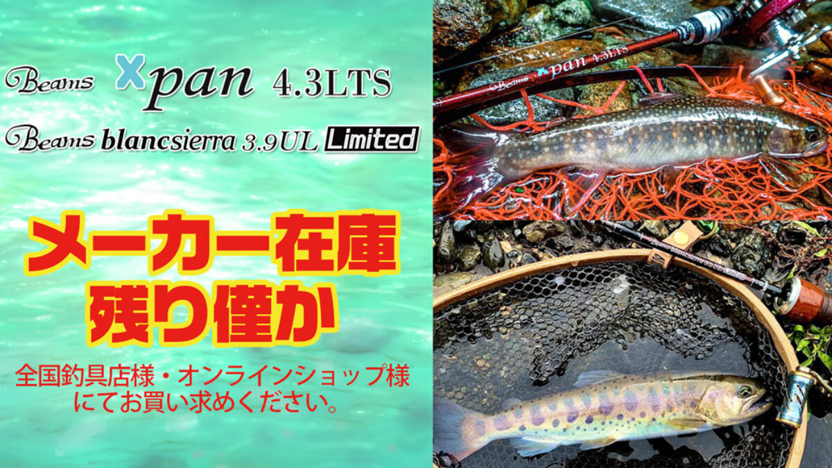 Beamsblancsierra3.9UL LIMITED(ビームスブランシエラ3.9UL
