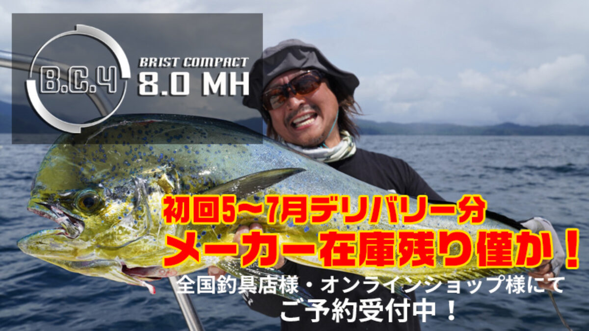 BC4 8.0MH メーカー在庫残りわずか - Fishman（フィッシュマン）