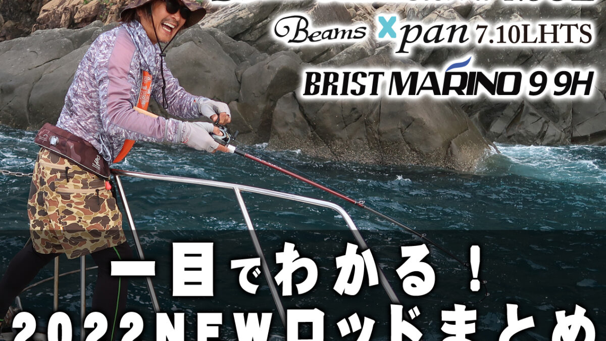 一目でわかる新機種の特長まとめ】Beams Blancsierra 4.8UL