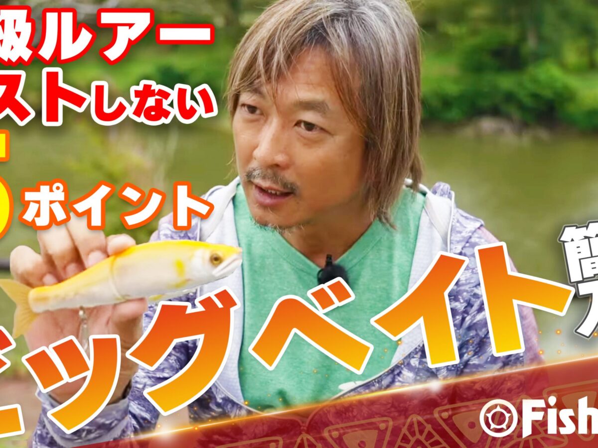 81748b85d21cdd7307c8bbaf2d4938