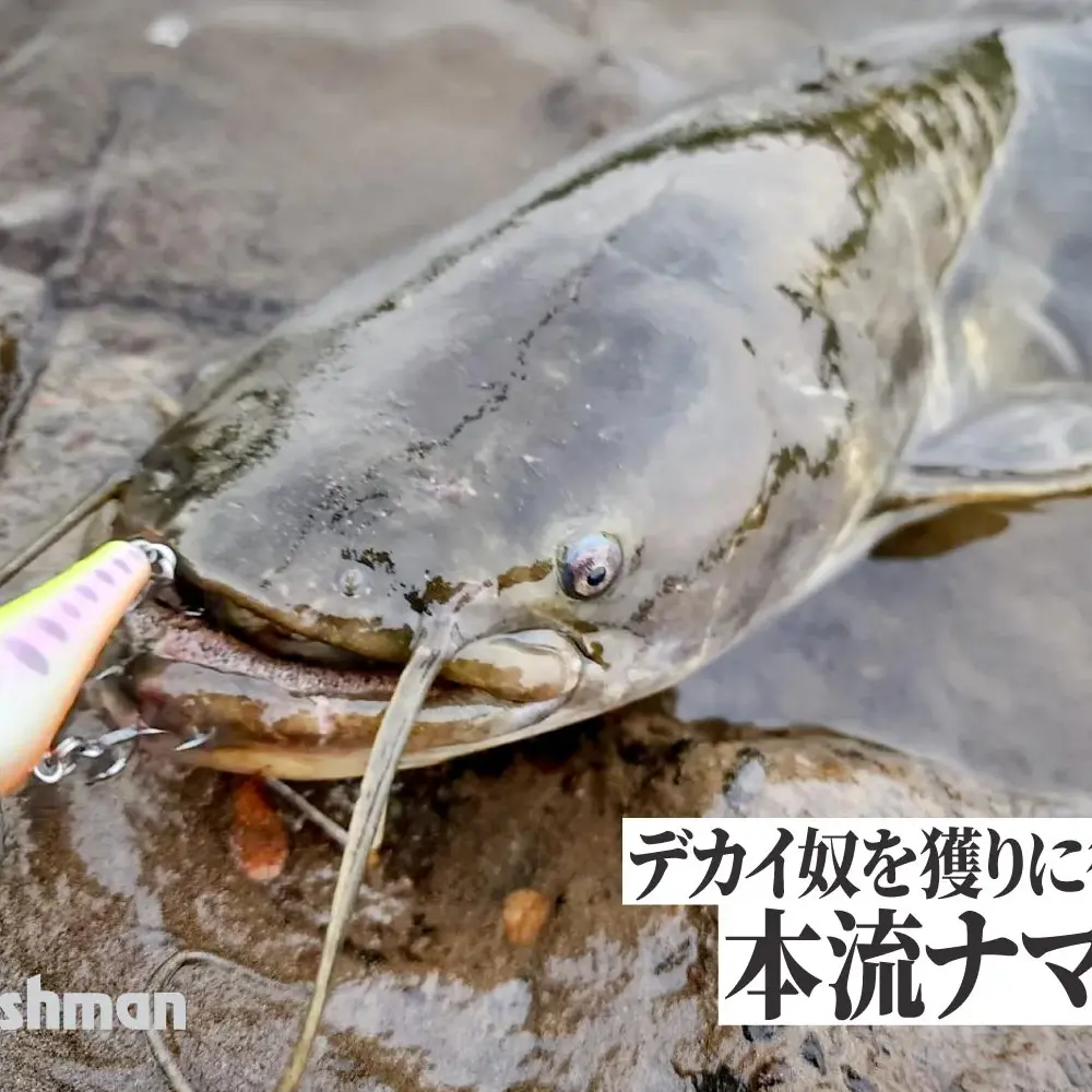 ナマズ　ルアー　あれこれ ナマズ ルアー 11個セットの通販 by さくら's SHOP｜ラクマ