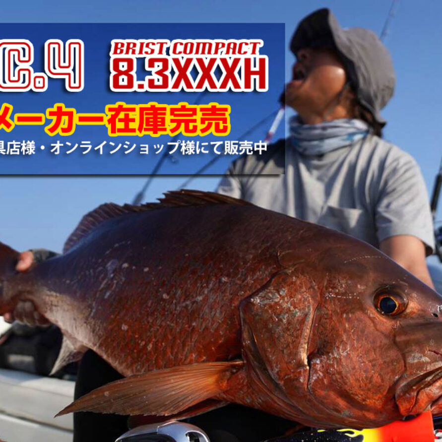 BC4 8.3XXXH アーカイブ - Fishman（フィッシュマン）
