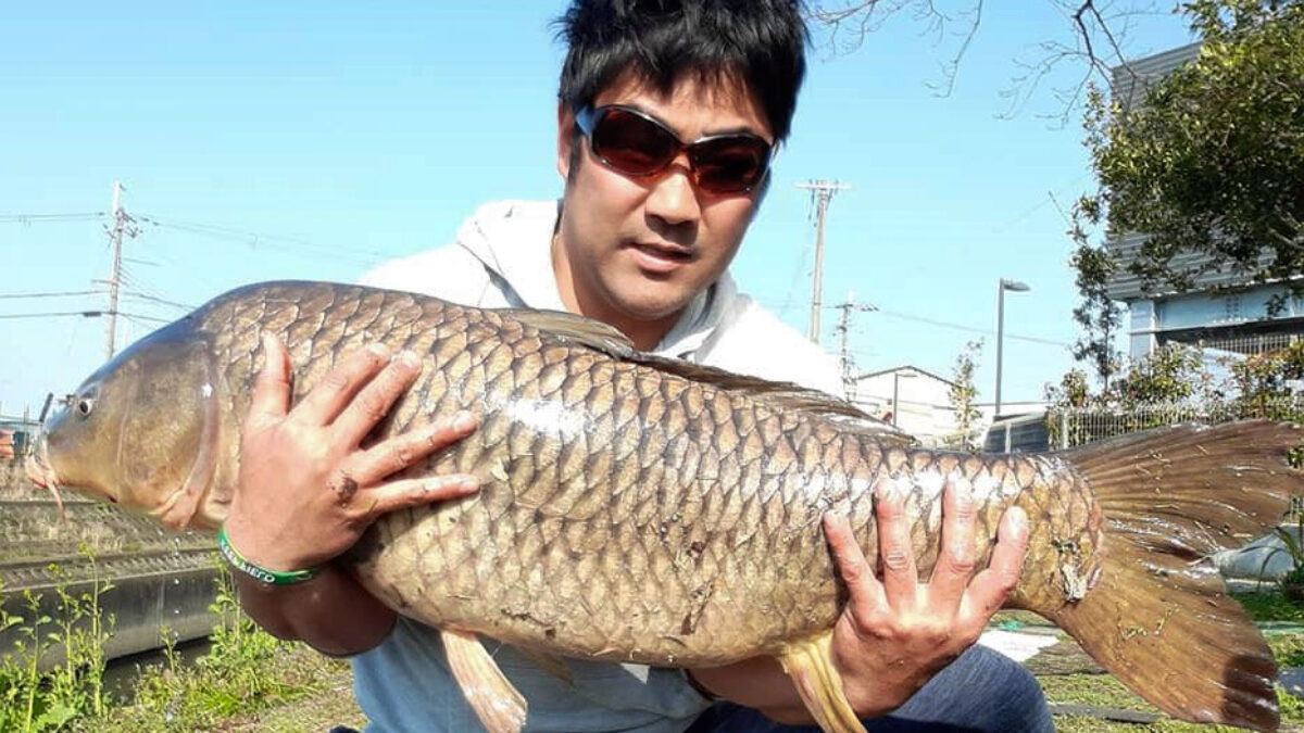 90783358_2817191265061566_7562