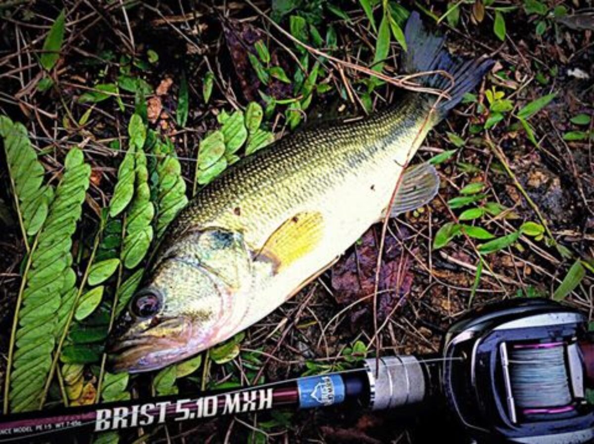 ロッドを握り、食事前の短期決戦。狙いは十八番のブラックバス