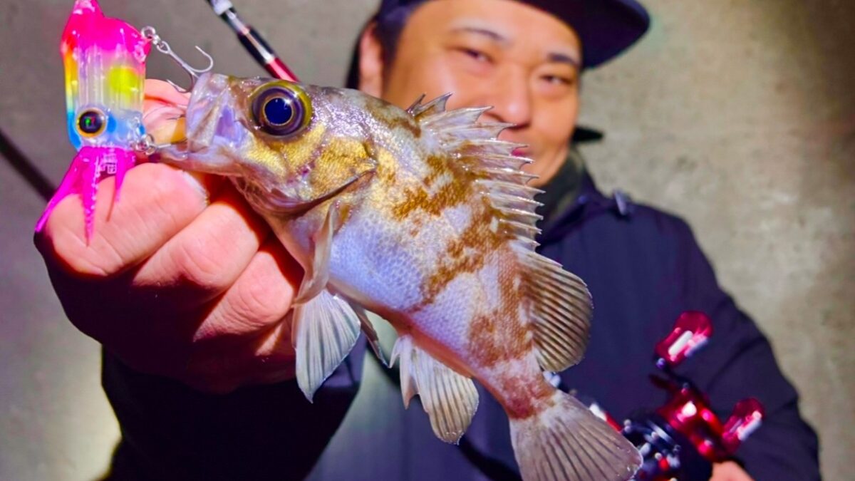 ライトゲームを自由に楽しもう！ - Fishman（フィッシュマン）