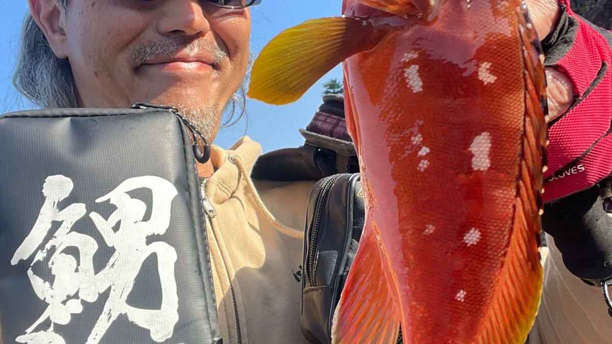 伊豆のロックゲーム開幕 - Fishman（フィッシュマン）