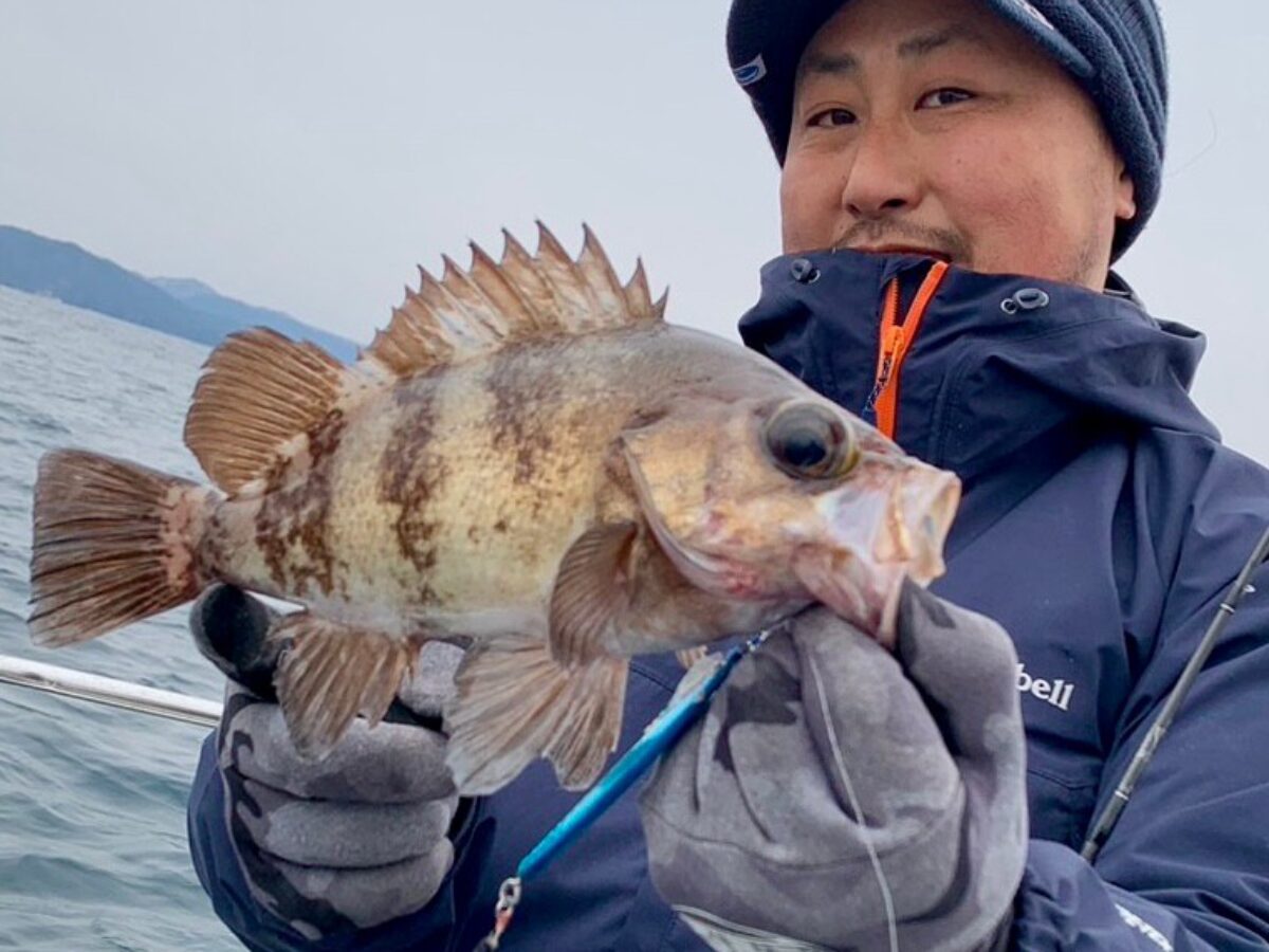 A2B5C3B1-0158-4E84-ABB0-