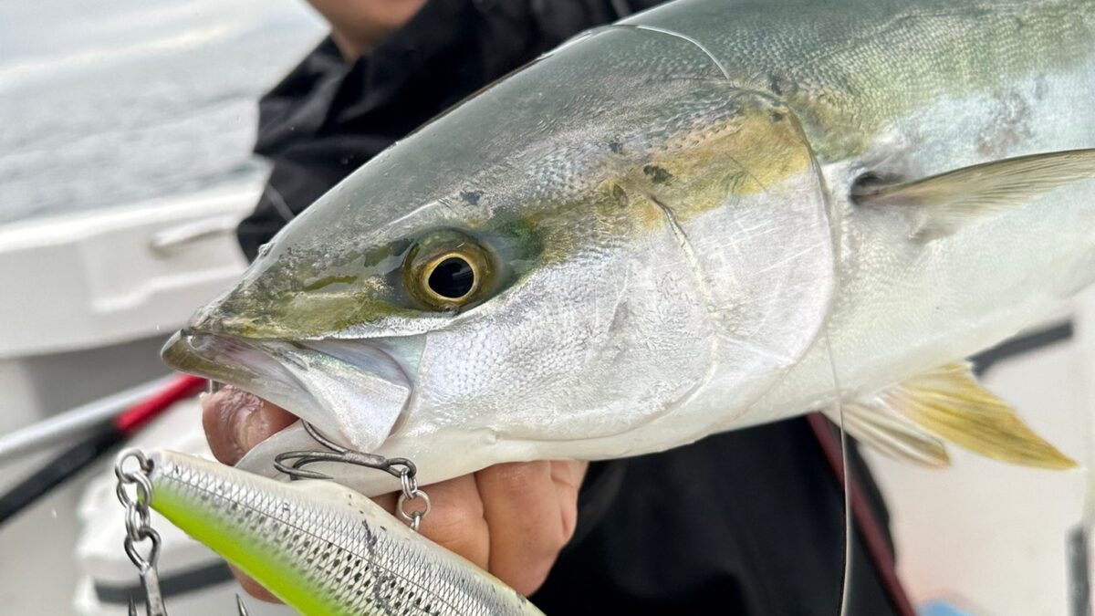 無理やり魚を浮かせる？】デカトップで水面爆発！アドレナリン大放出の