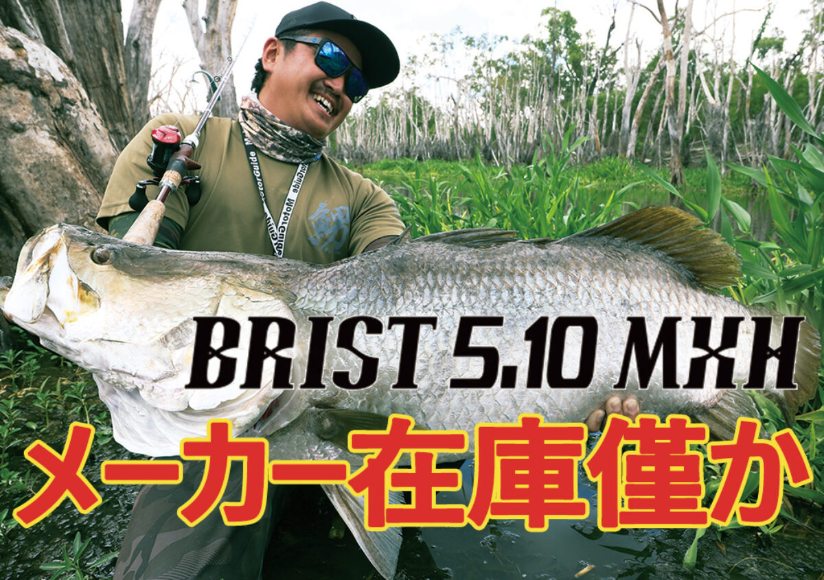 BRIST 5.10MHX メーカー在庫残りわずか！ - Fishman（フィッシュマン）