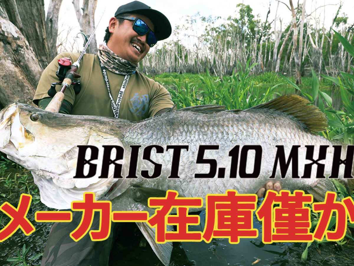 BRIST 5.10MHX メーカー在庫残りわずか！ - Fishman（フィッシュ