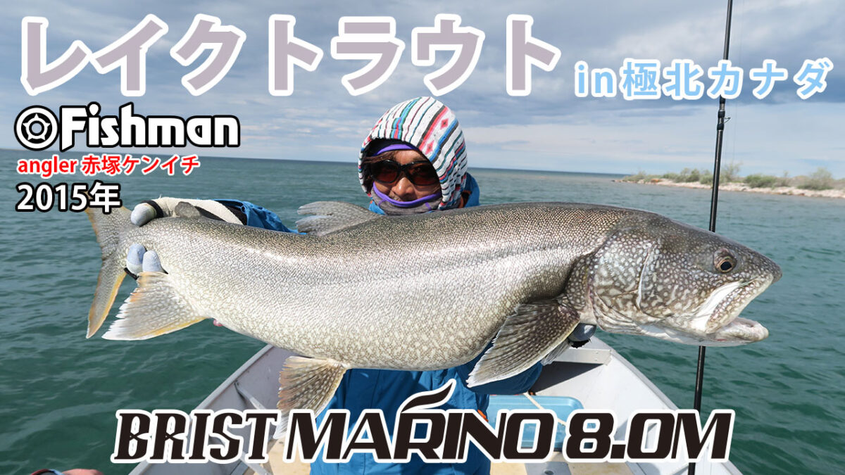 BRISTmarino8M-1200x675.jpg