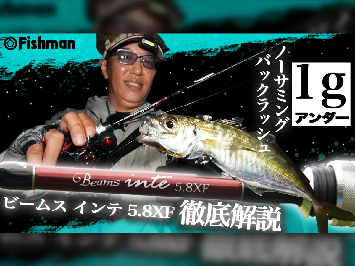 Beamsinte5.8XF解説_ブログ-