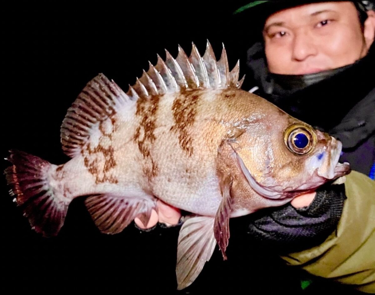 冬を満喫できるロッド「Beams inte6.4UL」 - Fishman（フィッシュマン）