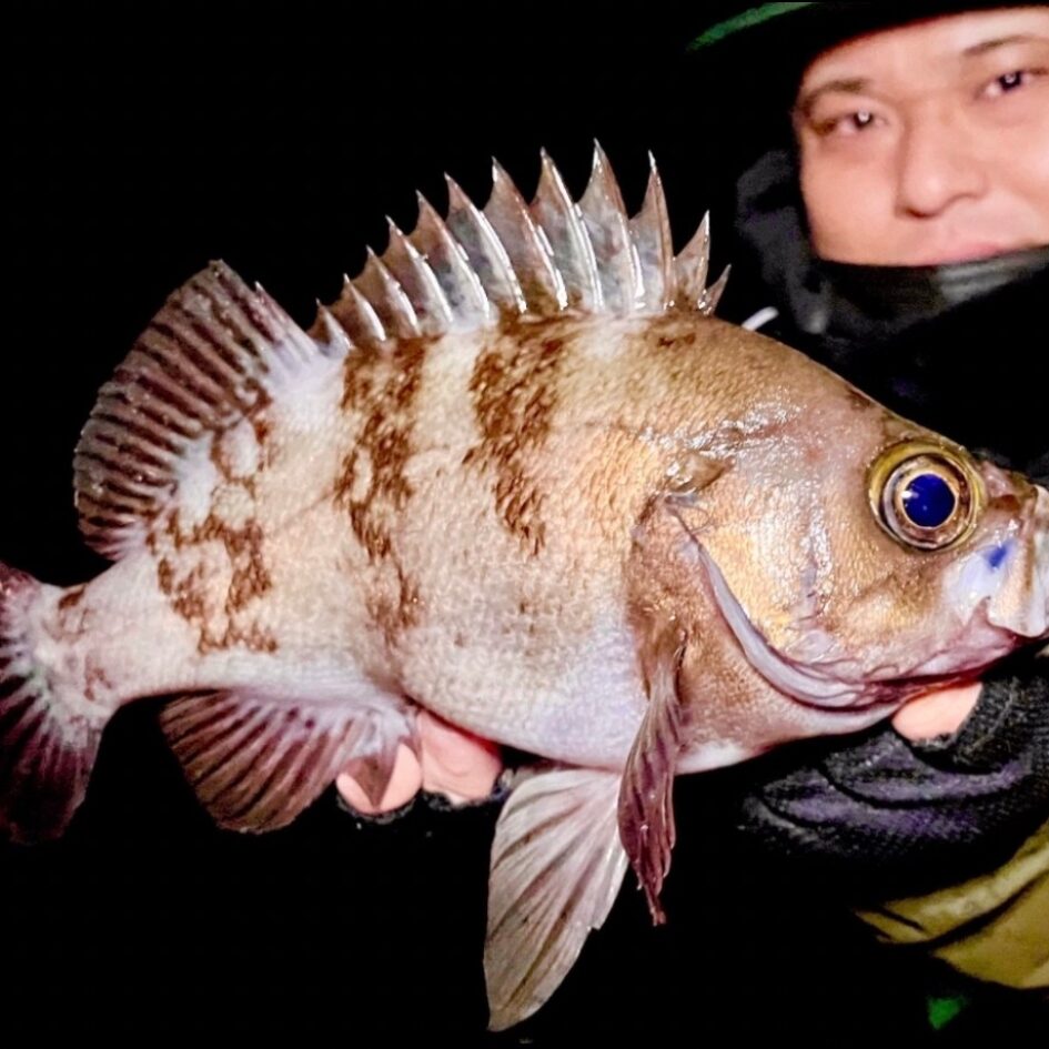 Fishman フィッシュマン Beams inte6.4UL ロッド Beamsinte64ul.html（ビームスインテ6.4UL）| アジ、メバル釣り