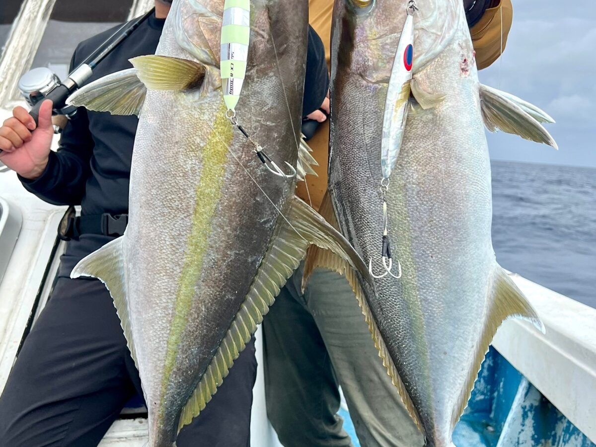 フィッシングマンです 2025年3月26日(水)11:00～いよいよ全国一斉予約開始】ジギング