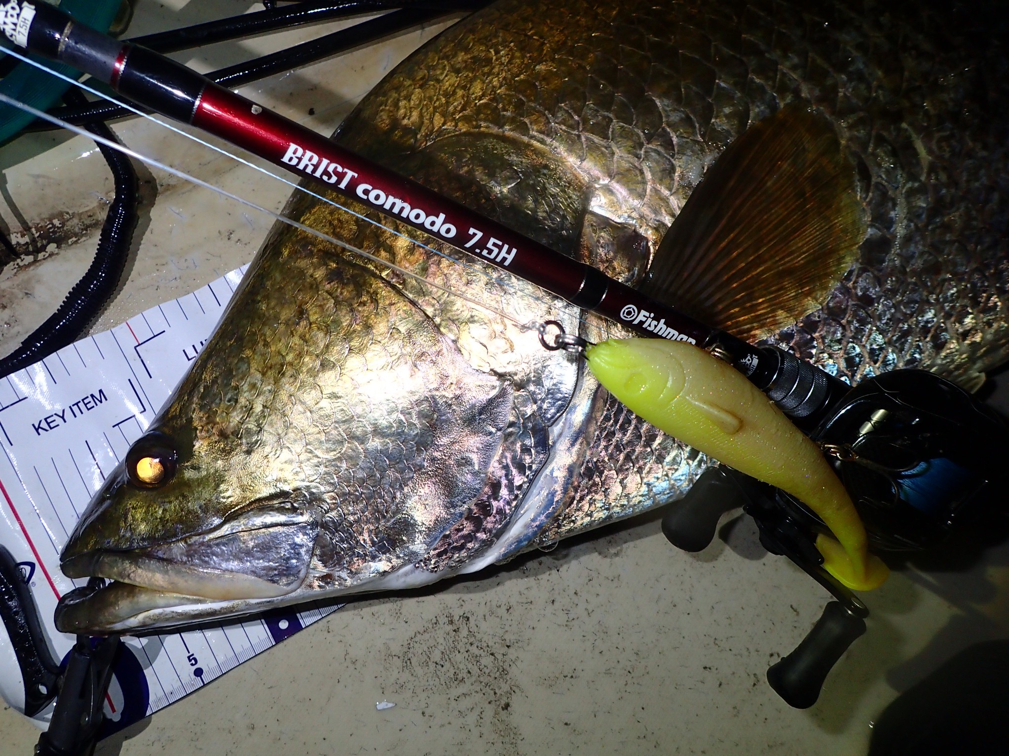 (M13)土佐の高知のトローリングルアー＊高知優漁丸＊漁師手ずくり : イカルアー 18g 17cm ハードルアー トローリングベイト 青物 シーバス フローティングルアー ブラウン (1) :  スポーツ＆アウトドア