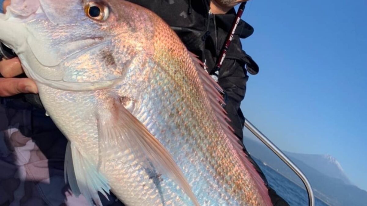 魚様 リクエスト 2点 まとめ商品 2025福袋 ホンデックスワカサギ魚探セット ｜ネオネットマリン通販