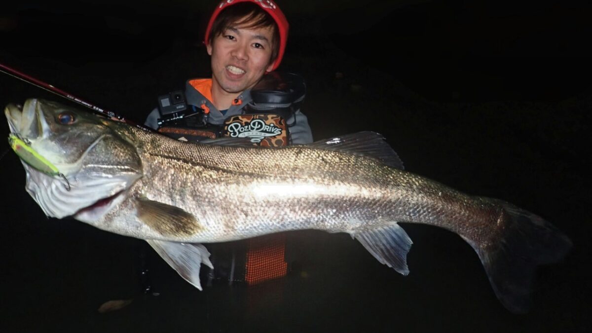 Fishman BC4 8.0 MH フィッシュマン 2021年新製品ロッドBC4 8.0MH 汎用性を高めた8ft、4ピースパックロッド