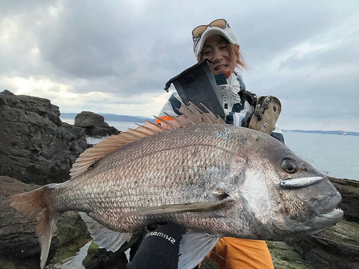 新たなロングロッドの始動と可能性 - Fishman（フィッシュマン）