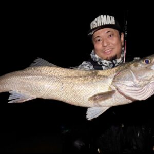Beams RIPLOUT9.0M+ アーカイブ - Fishman（フィッシュマン）