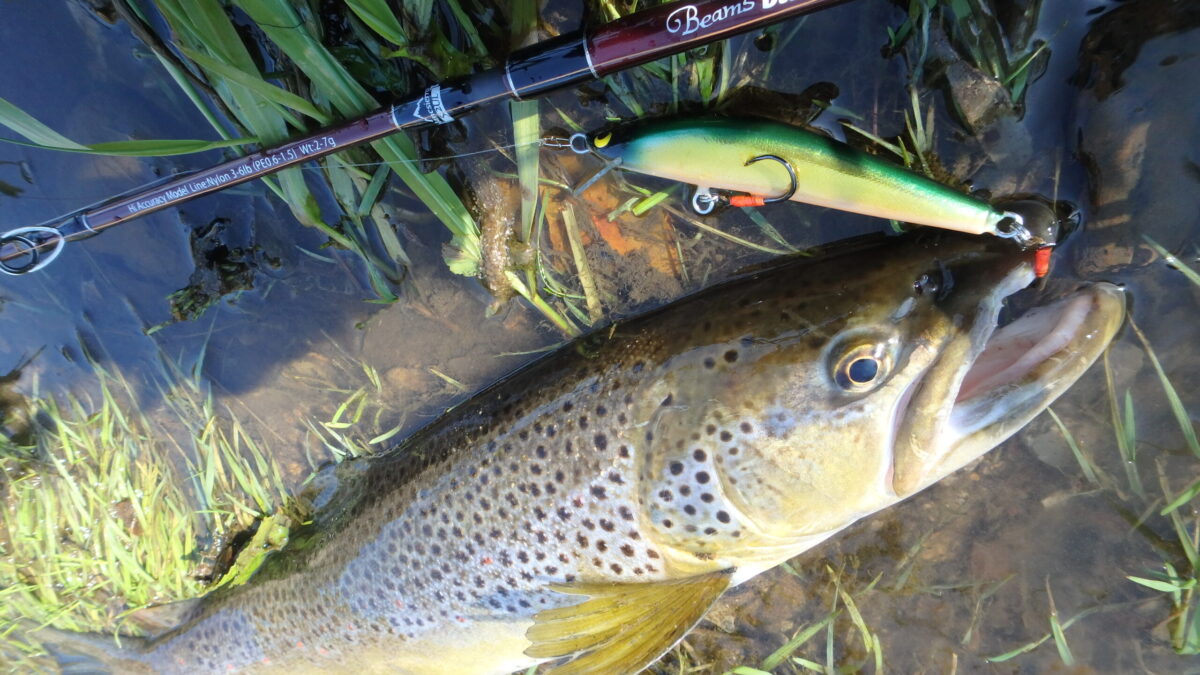 P5125626-scaled-1200x675.jpg