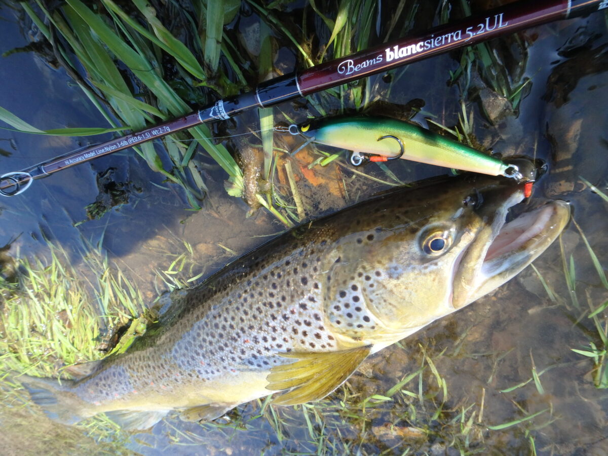 トラウト用　バルサミノー＆PEライン　セット P5125626-scaled-1200x900.jpg