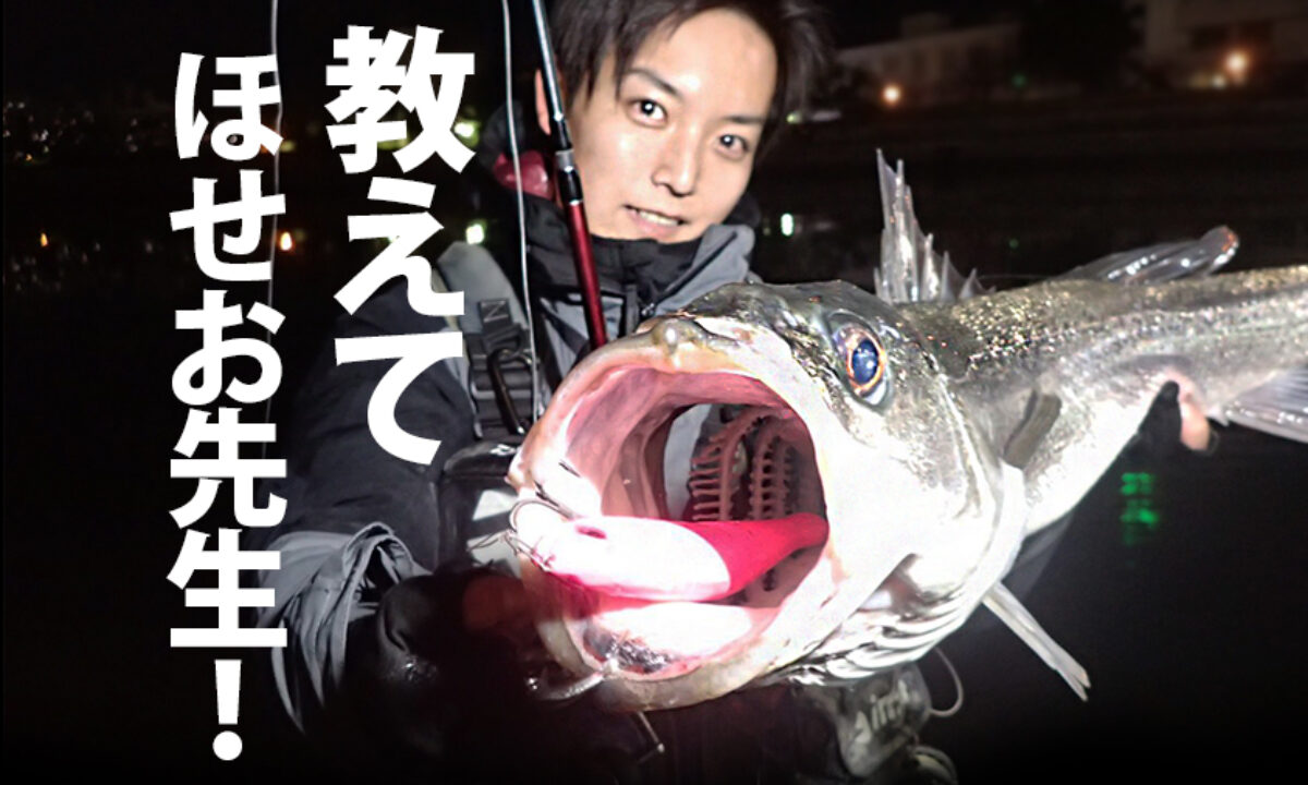 S__609607688-1200x720.jpg