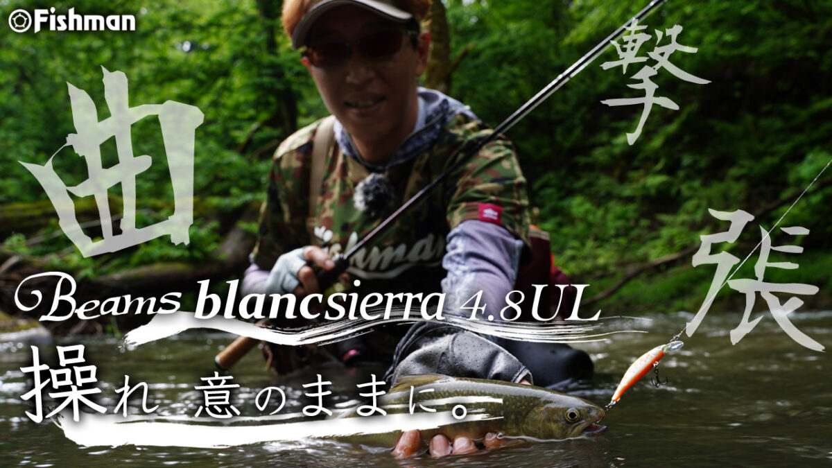 b5aa1198f78a30c46fdeae13c209a8