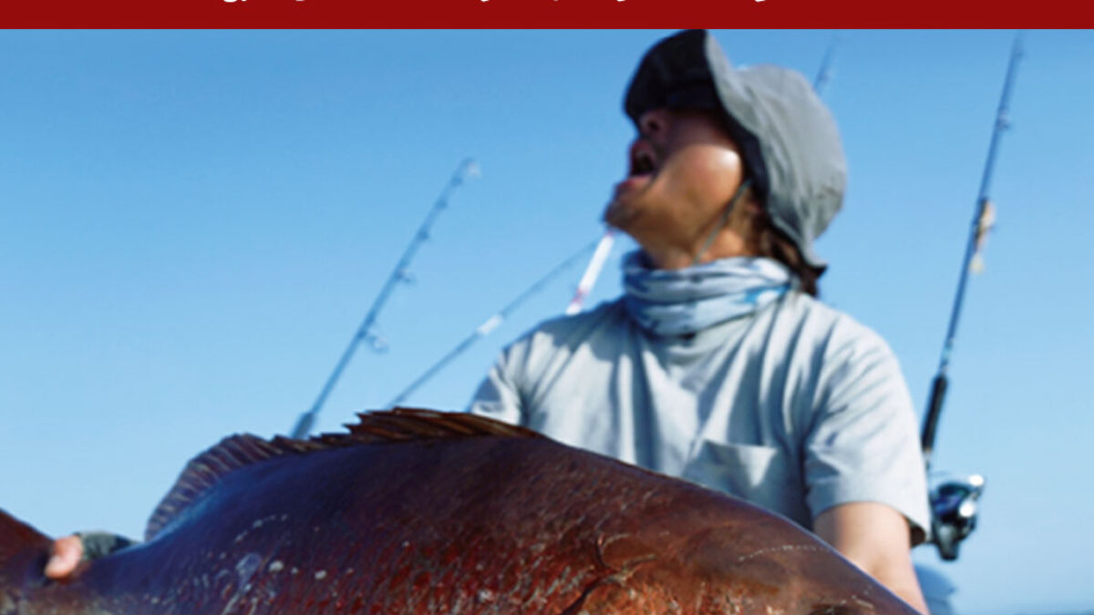 BC4 8.3XXXH メーカー在庫初回分完売のご案内 - Fishman（フィッシュマン）