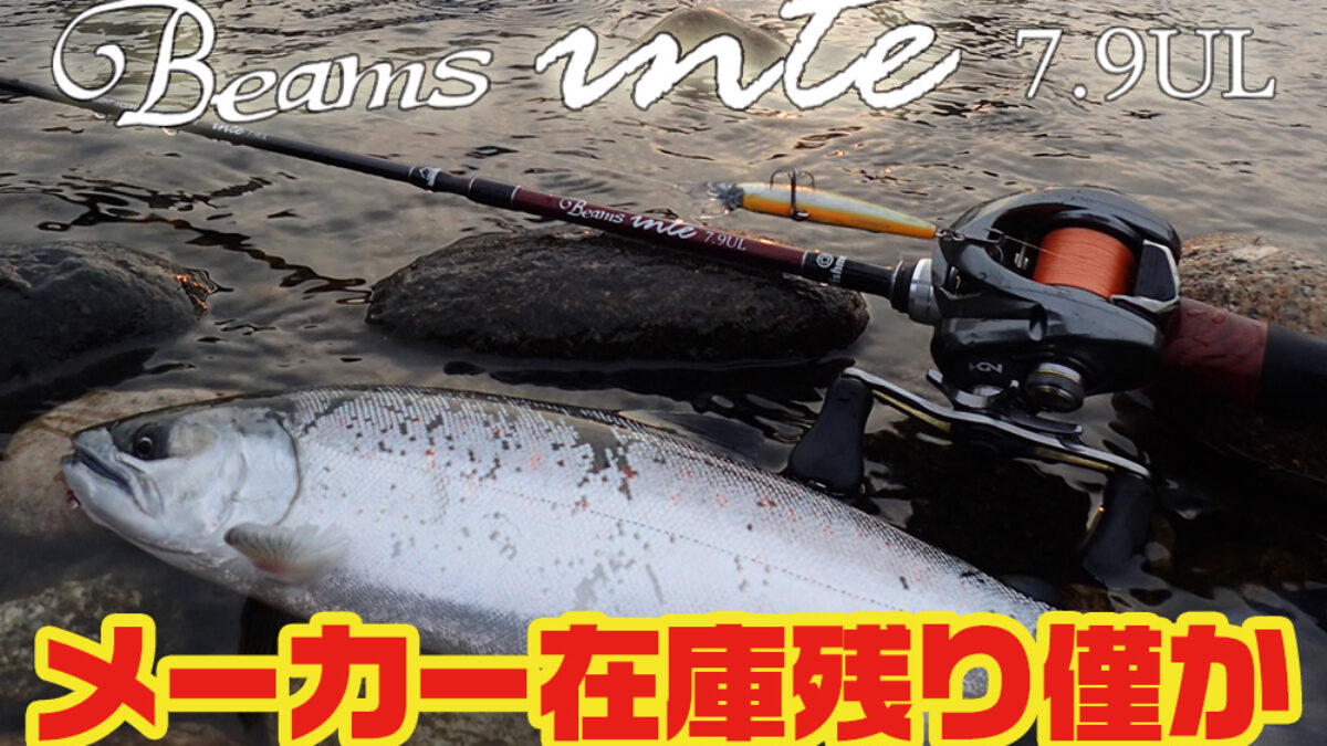 Beams inte7.9UL メーカー在庫残り僅か！ - Fishman（フィッシュマン）