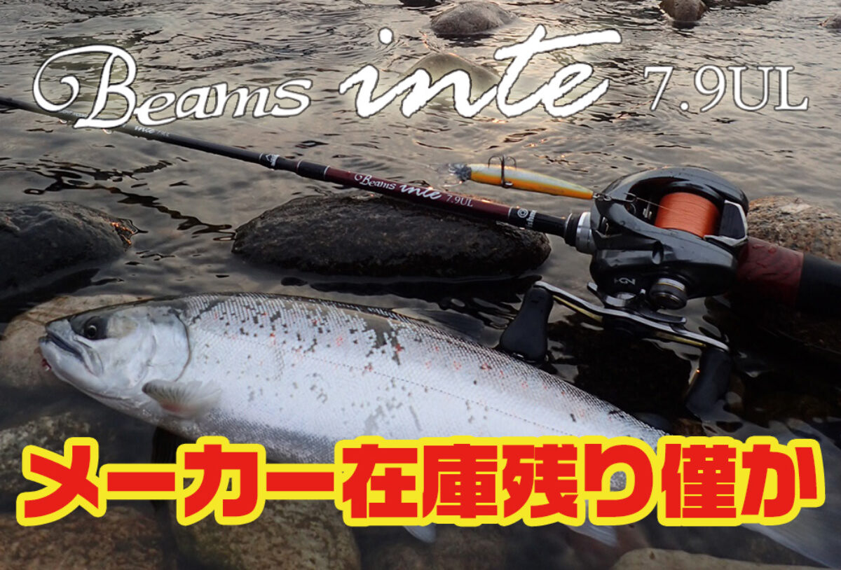 Beams inte7.9UL メーカー在庫残り僅か！ - Fishman（フィッシュマン）