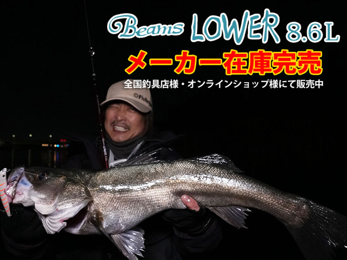 緊急値下げ　Fishman Beams LOWER8.6L Beams LOWER8.6L アーカイブ - Fishman（フィッシュマン）