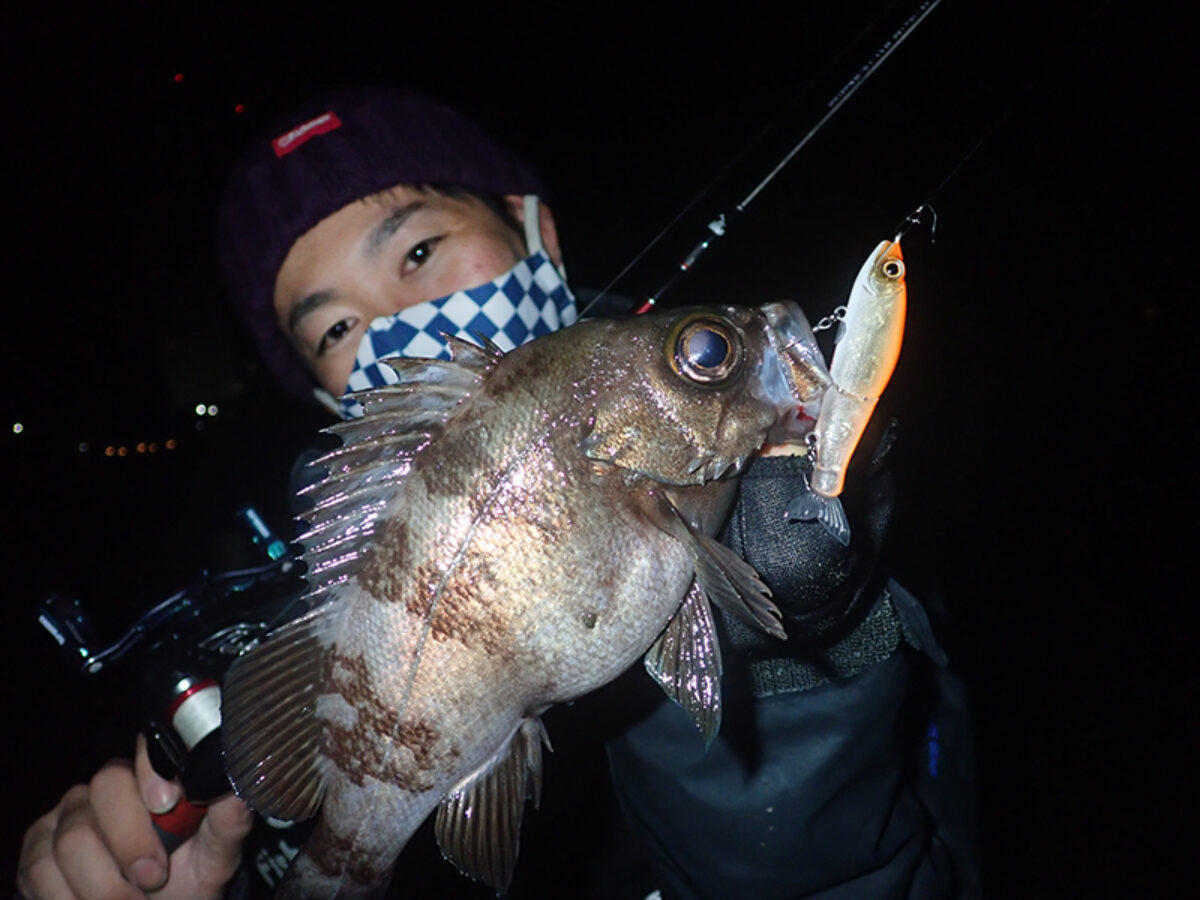 フィッシュマン　インテ6.4ul Amazon | フィッシュマン Fishman Beams inte 6.4UL | Fishman