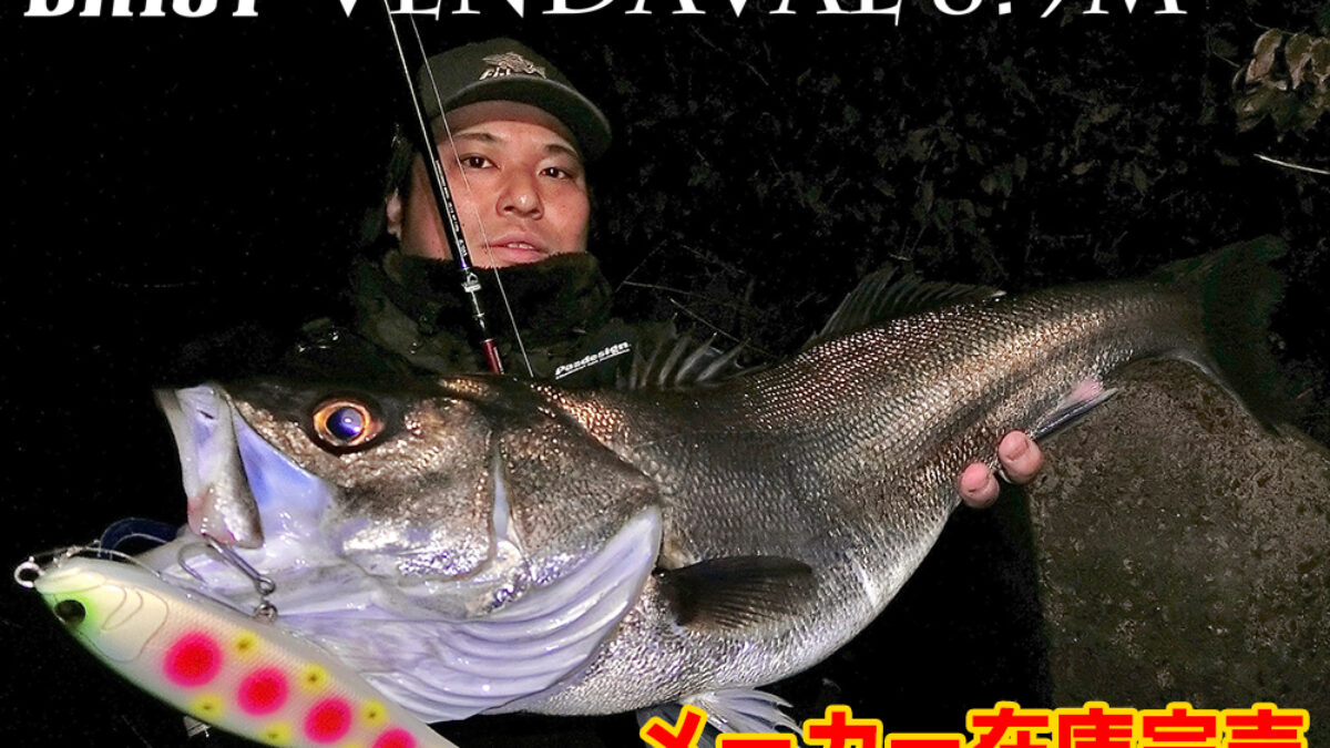 BRIST VENDAVAL8.9Mのメーカー在庫 完売 - Fishman（フィッシュ