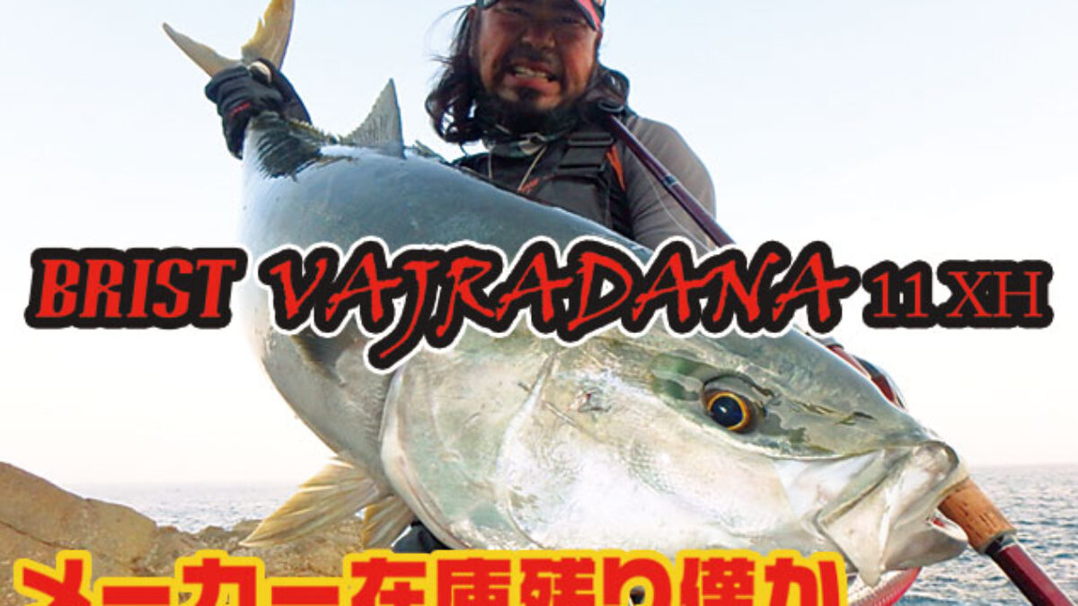 Fishman（フィッシュマン） BRIST VAJRADANA11XH Fishman] BRIST VAJRADANA 11XH (Rod) - HEDGEHOG STUDIO