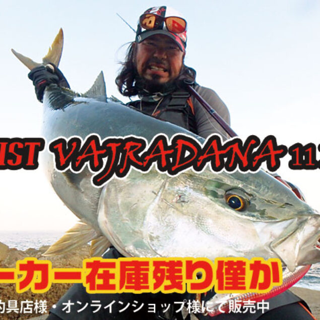 Fishman（フィッシュマン） BRIST VAJRADANA11XH Fishman フィッシュマン BRIST VAJRADANA11XH ブリスト バジュラ