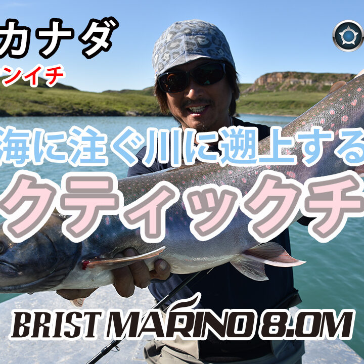 極北カナダでBRIST MARINO 8.0Mを使いアークティックチャーを狙う動画