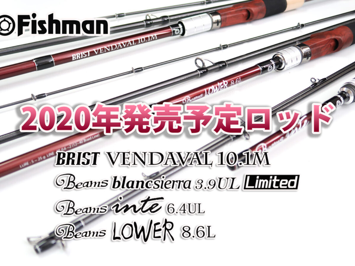 FISHMAN Beans LOWER 6.2L フィッシュマン フィッシュマン ローワー