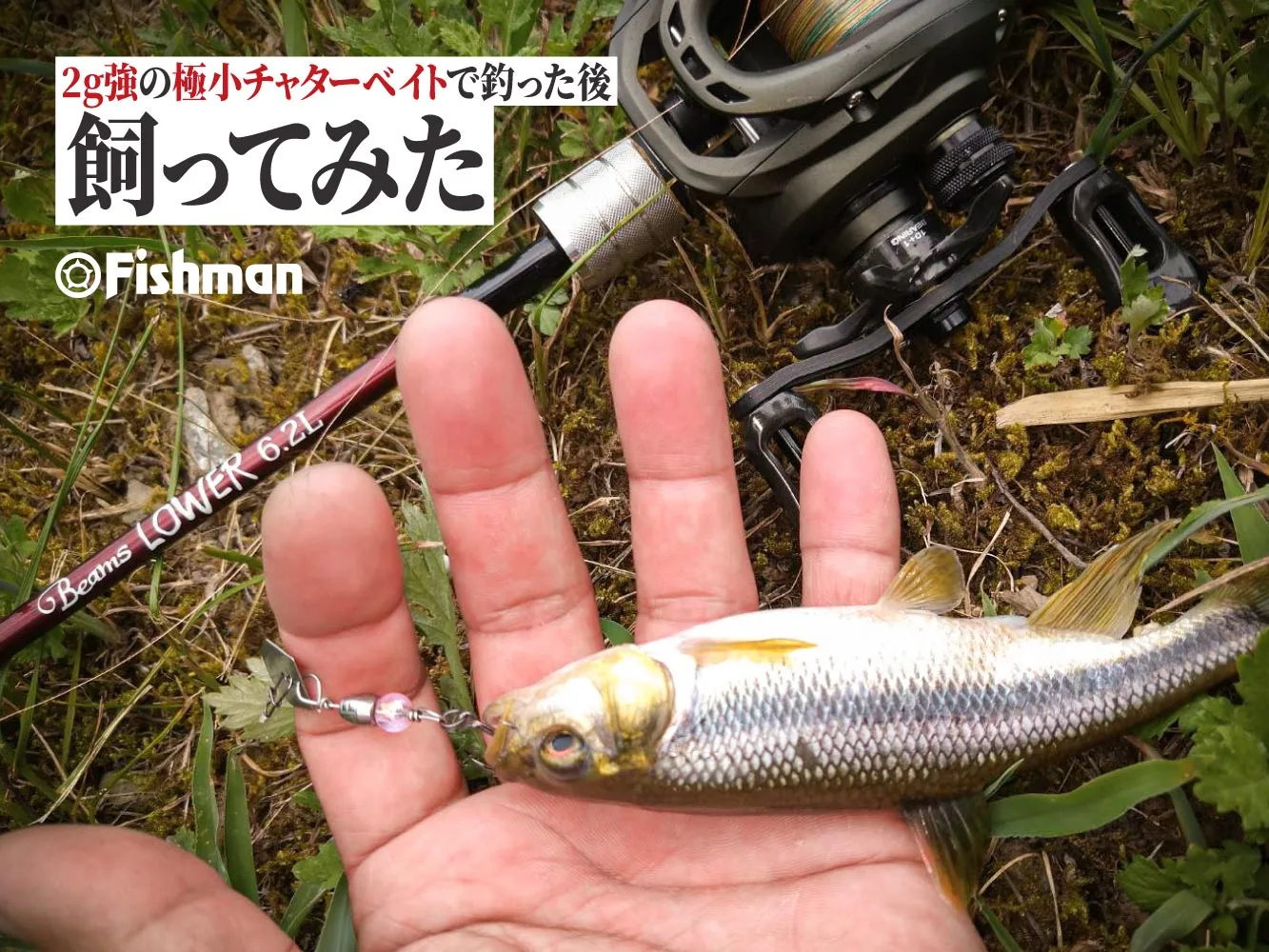 Fishman/フィッシュマン】 Beams LOWER 6.2L /* - フィッシング