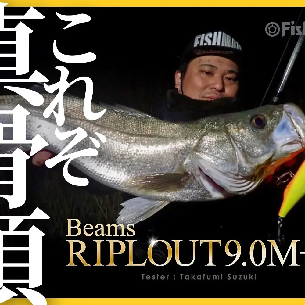 Beams AIRLOUT 90M+ シーバスロッド Beams RIPLOUT9.0M+（ビームスリ
