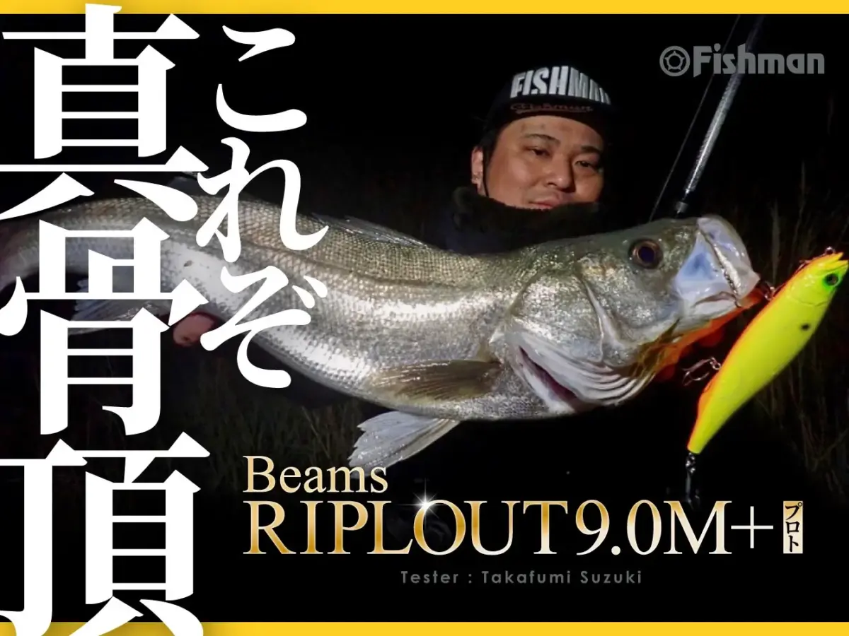 ロッド Fishman Beams RIPLOUT9.0M+ Beams RIPLOUT9.0M+（ビームスリプラウト）| あらゆるルアーを