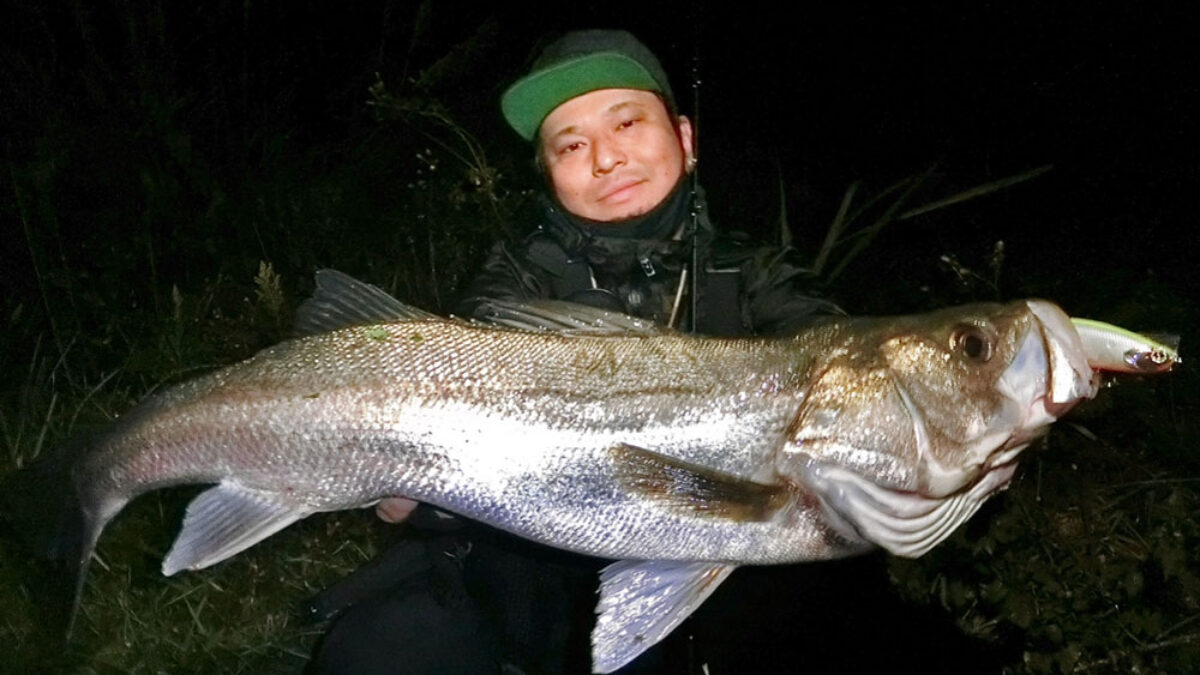 朝から晩まで7.5H♪ - Fishman（フィッシュマン）